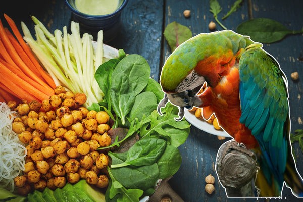Track Your Bird’s Weight: A Complete Guide to Healthy Bird Weight Management