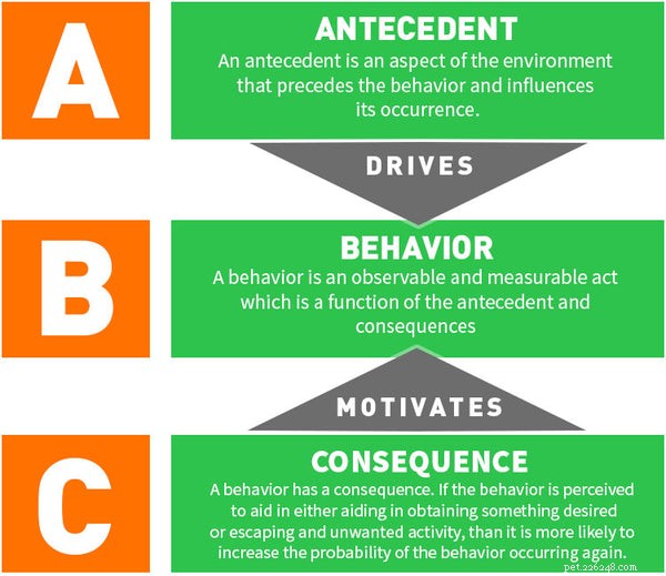 Designing an Effective Behavior Plan with Functional Analysis: Understanding Time Studies