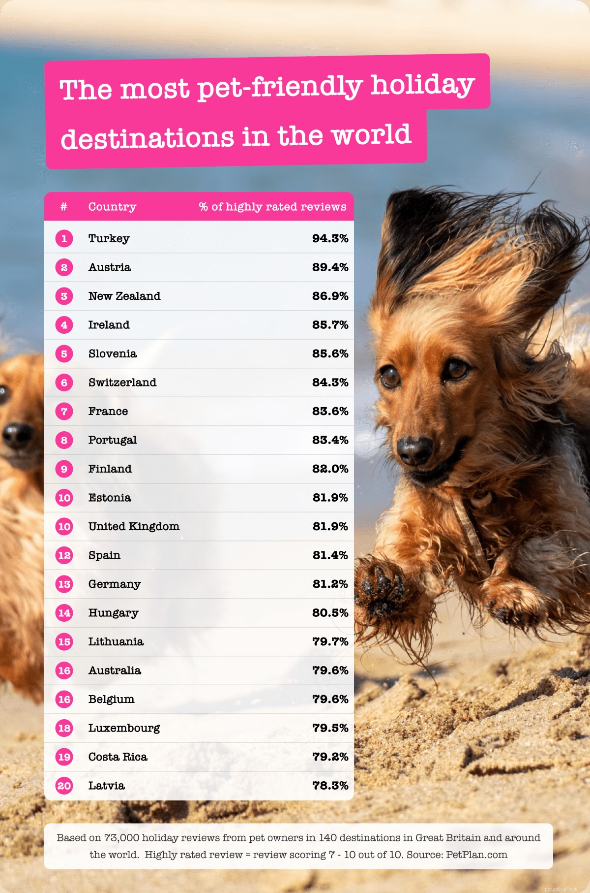 Explore Pet-Friendly Getaways: The Ultimate Guide to Stress-Free Travel with Your Furry Friend