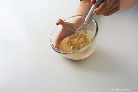 Delicious Homemade Festive Treats for Your Dog
