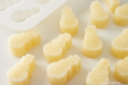 Delicious Homemade Festive Treats for Your Dog