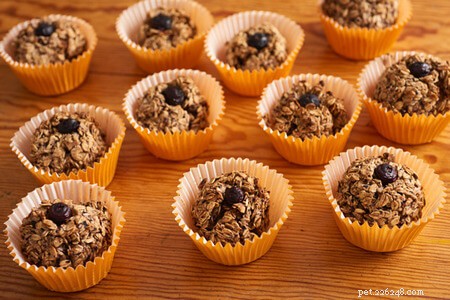 Create Safe, Delicious Halloween Treats for Your Dog
