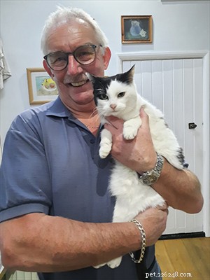 Survivor Story: Daisy the Cat s Remarkable Journey to Recovery