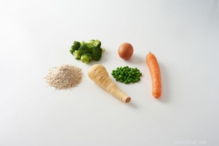Delicious Homemade Cat Treats for the Holidays
