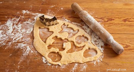 Safe & Delicious Halloween Treats for Your Cat: A Vet‑Approved Guide