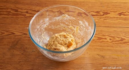 Safe & Delicious Halloween Treats for Your Cat: A Vet‑Approved Guide