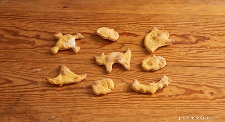 Safe & Delicious Halloween Treats for Your Cat: A Vet‑Approved Guide