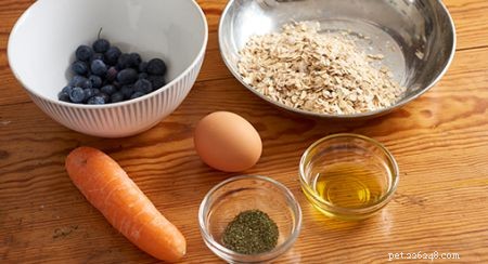 Safe & Delicious Halloween Treats for Your Cat: A Vet‑Approved Guide
