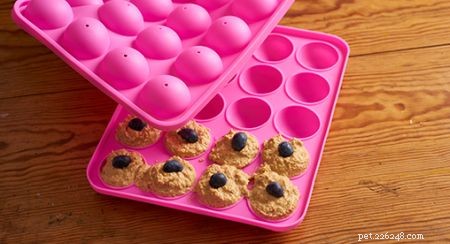 Safe & Delicious Halloween Treats for Your Cat: A Vet‑Approved Guide