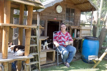 Designing the Perfect Cat Playground: A Guide to Enriching Your Feline’s Life