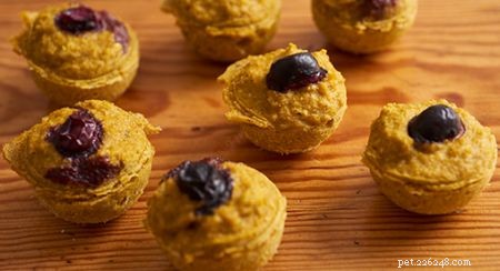 Safe & Delicious Halloween Treats for Your Cat: A Vet‑Approved Guide