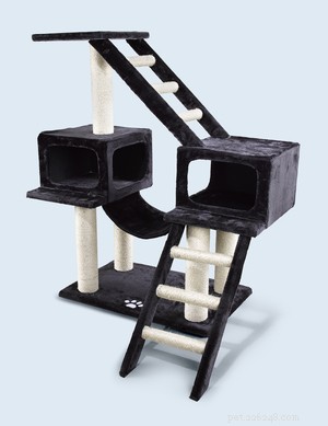Experts’ Top 3 Cat Products: Fun, Safe, Smart