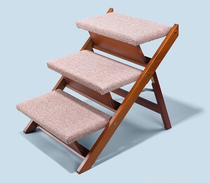 Experts’ Top 3 Cat Products: Fun, Safe, Smart