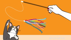 DIY Christmas Gifts for Your Cat: Simple Ideas to Keep Them Calm and Happy