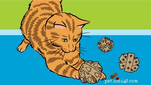 DIY Christmas Gifts for Your Cat: Simple Ideas to Keep Them Calm and Happy