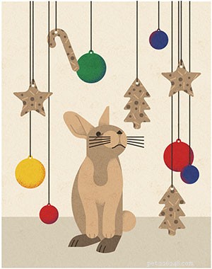 Christmas Treats for Rabbits: 3 Easy Homemade Recipes