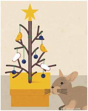 Christmas Treats for Rabbits: 3 Easy Homemade Recipes