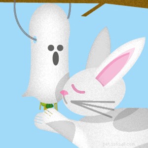 Safe & Homemade Halloween Treats for Your Rabbit