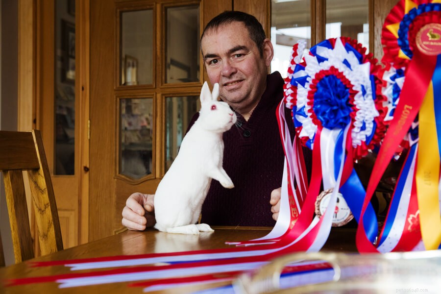 7 Expert Tips from a 50‑Year Rabbit Show Champion