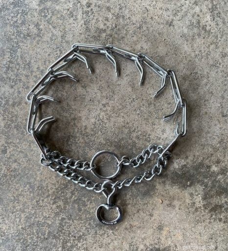 Understanding the Risks of Prong Collars: Key Questions for Responsible Dog Owners
