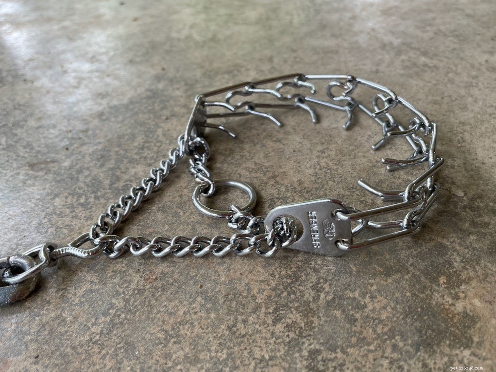 Understanding the Risks of Prong Collars: Key Questions for Responsible Dog Owners