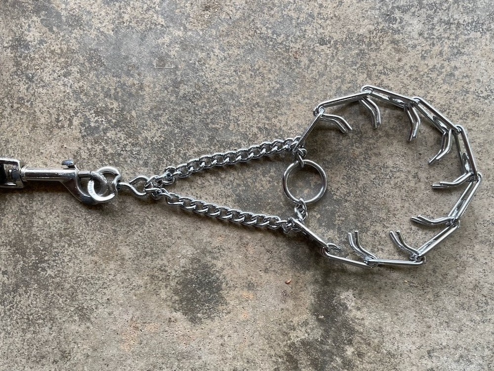 Understanding the Risks of Prong Collars: Key Questions for Responsible Dog Owners