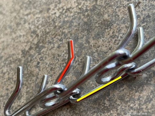 Understanding the Risks of Prong Collars: Key Questions for Responsible Dog Owners