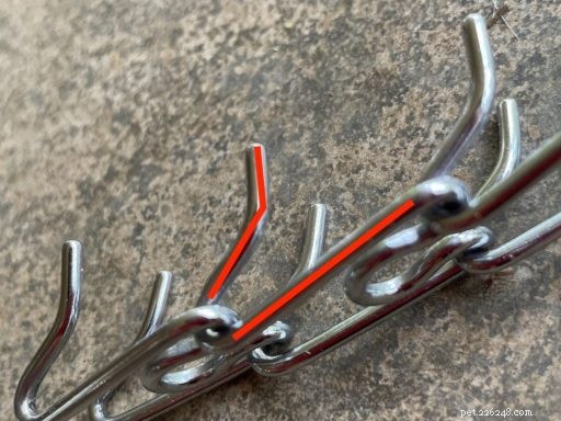 Understanding the Risks of Prong Collars: Key Questions for Responsible Dog Owners