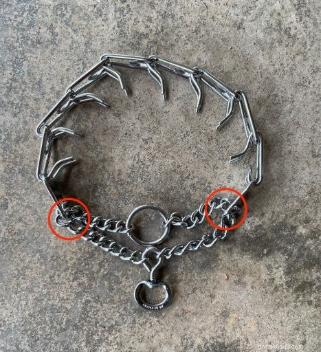 Understanding the Risks of Prong Collars: Key Questions for Responsible Dog Owners
