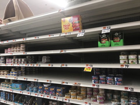 Navigating the 2022 Cat Food Shortage: Expert Tips for Pet Parents