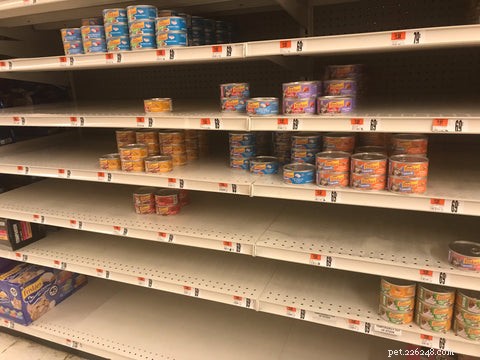 Navigating the 2022 Cat Food Shortage: Expert Tips for Pet Parents