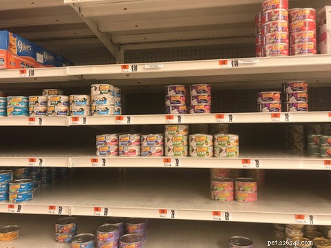 Navigating the 2022 Cat Food Shortage: Expert Tips for Pet Parents