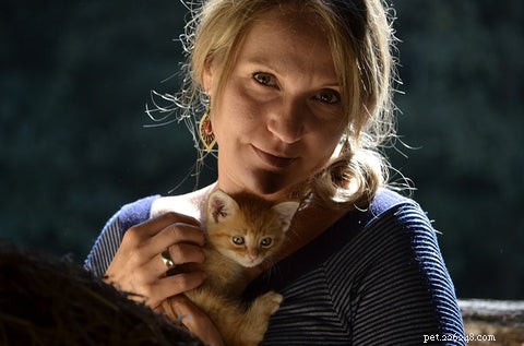 Navigating the 2022 Cat Food Shortage: Expert Tips for Pet Parents