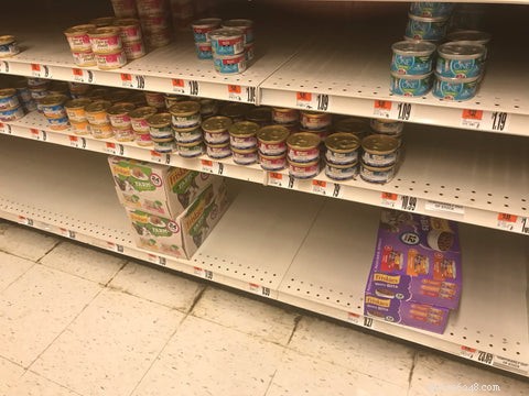 Navigating the 2022 Cat Food Shortage: Expert Tips for Pet Parents