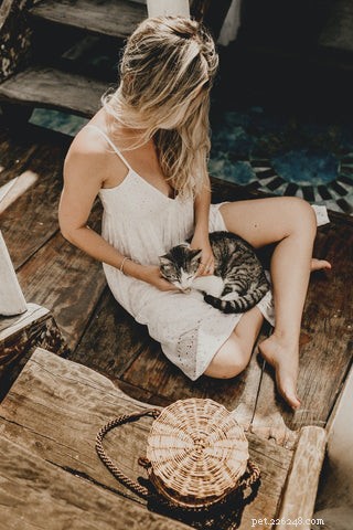 Understanding FIV: What Every Cat Owner Should Know