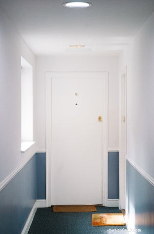 Why Does My Cat Follow Me Into the Bathroom? Understanding Their Curious Behavior