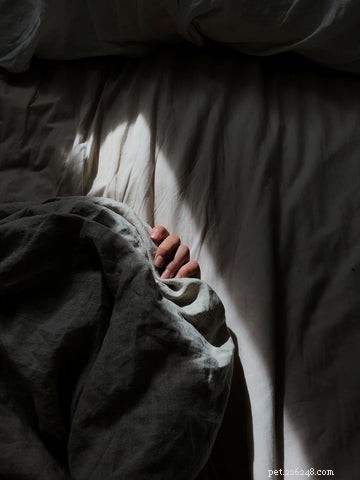 Understanding Your Cat’s Nighttime Yowls: Causes and Solutions