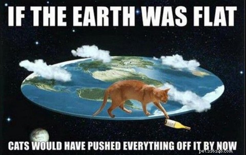 Understanding Why Cats Knock Things Over: A Guide