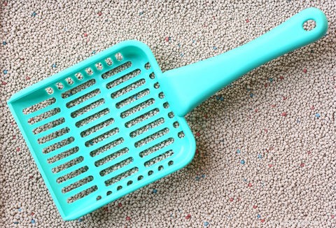 Control Litter Box Odor: Proven Tips for a Fresh Home