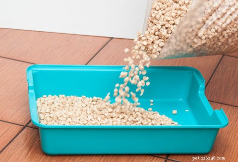 Control Litter Box Odor: Proven Tips for a Fresh Home