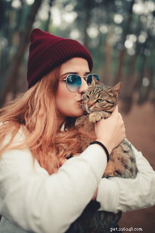 5 Behaviors You Probably Don’t Realize Your Cats Dislike