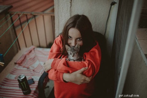 Do Cats Protect Their Owners? Understanding Cat Protective Behavior