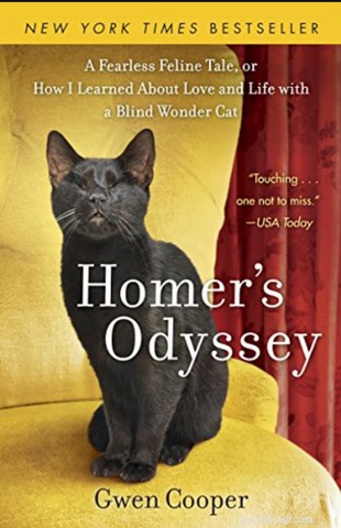 Do Cats Protect Their Owners? Understanding Cat Protective Behavior