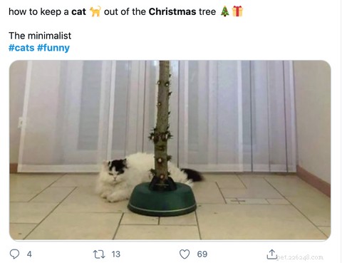 Top Holiday Cat Memes & Cartoons: Hilarious Christmas Feline Fun