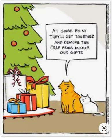 Top Holiday Cat Memes & Cartoons: Hilarious Christmas Feline Fun