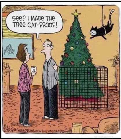 Top Holiday Cat Memes & Cartoons: Hilarious Christmas Feline Fun