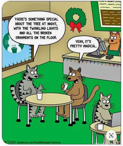 Top Holiday Cat Memes & Cartoons: Hilarious Christmas Feline Fun