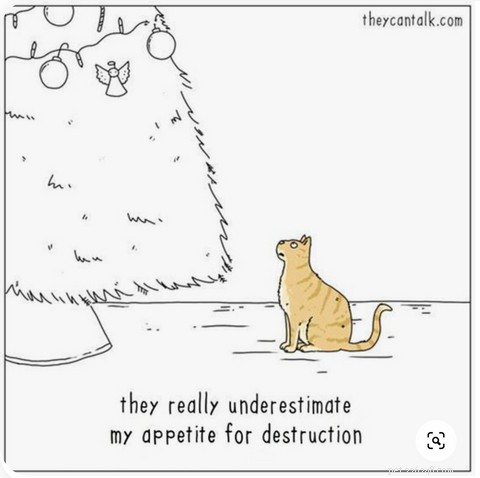 Top Holiday Cat Memes & Cartoons: Hilarious Christmas Feline Fun