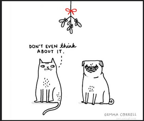Top Holiday Cat Memes & Cartoons: Hilarious Christmas Feline Fun