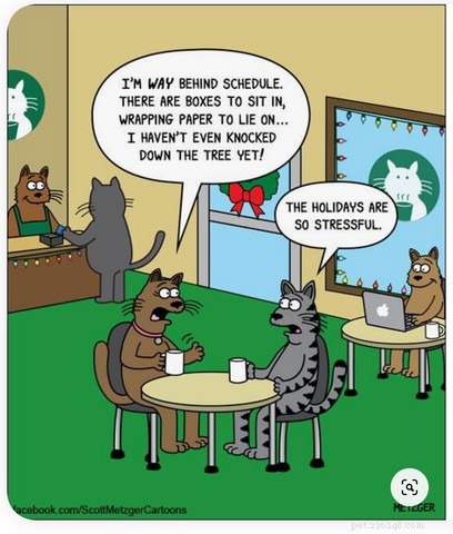 Top Holiday Cat Memes & Cartoons: Hilarious Christmas Feline Fun